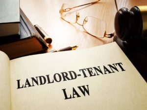 Landlord and Tenant Maintenance Responsibilities