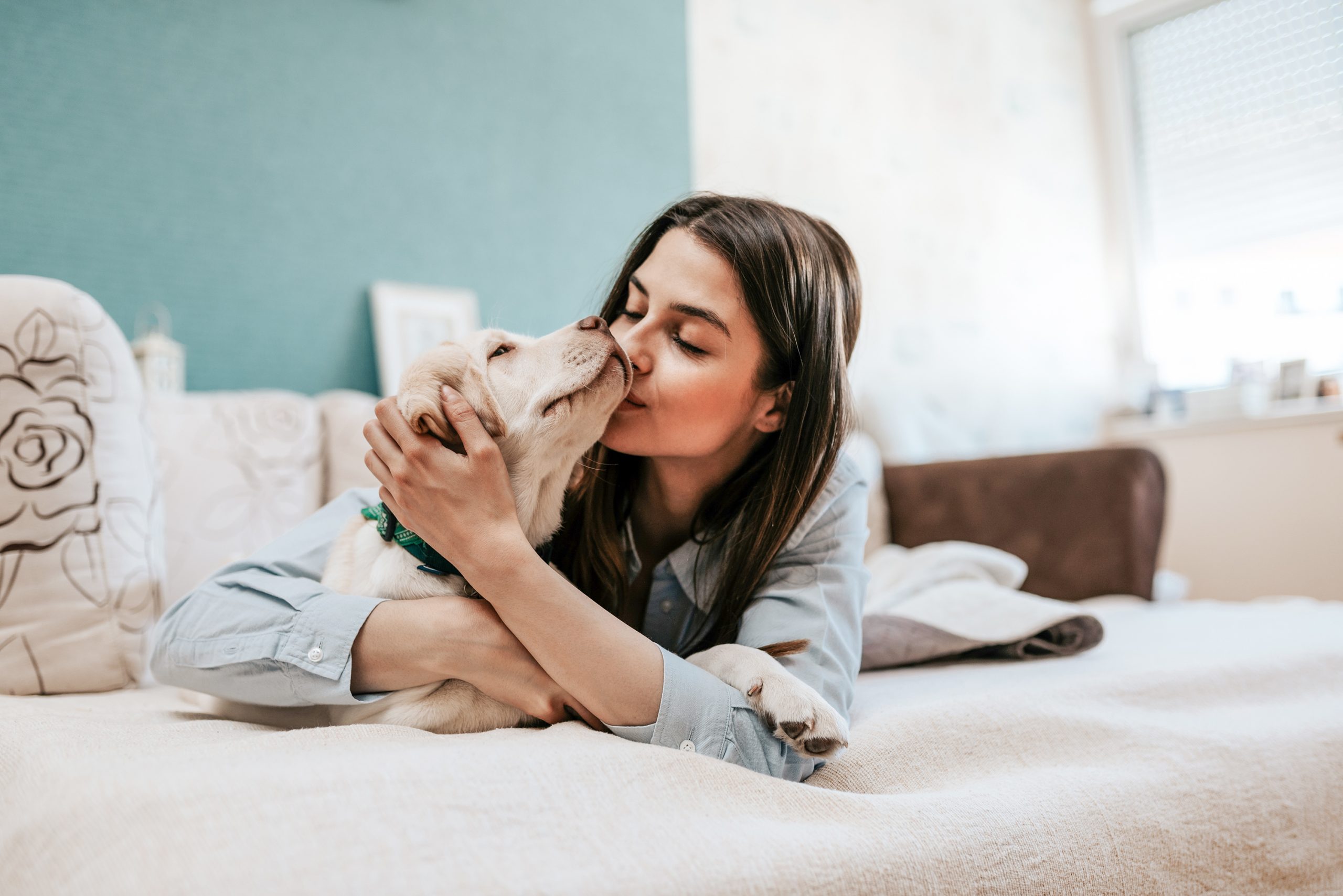 reasons-to-allow-pets-at-your-rental-properties