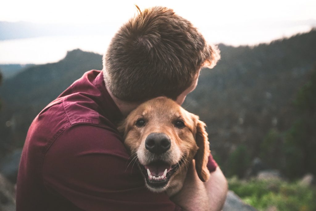 Rental Agreements on Pets: Best Practices