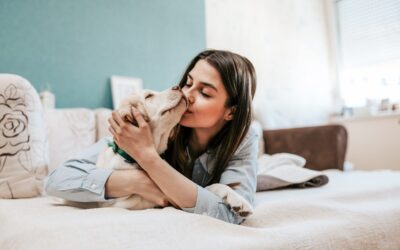 reasons-to-allow-pets-at-your-rental-properties